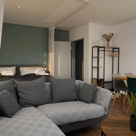 Apartment Große, Gemütliche 4-zimmer-ferienwohnung Mit Guter Verkehrsanbindung Im Süden Von Heidelberg