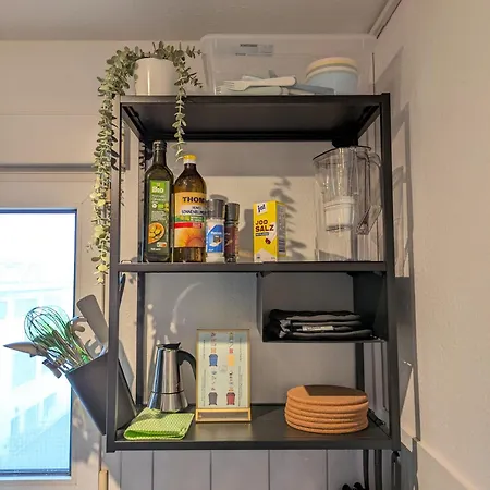 Διαμέρισμα Large 4 Bedroom Apartment For Up To 10 People With 96Sqm In The South Of Heidelberg